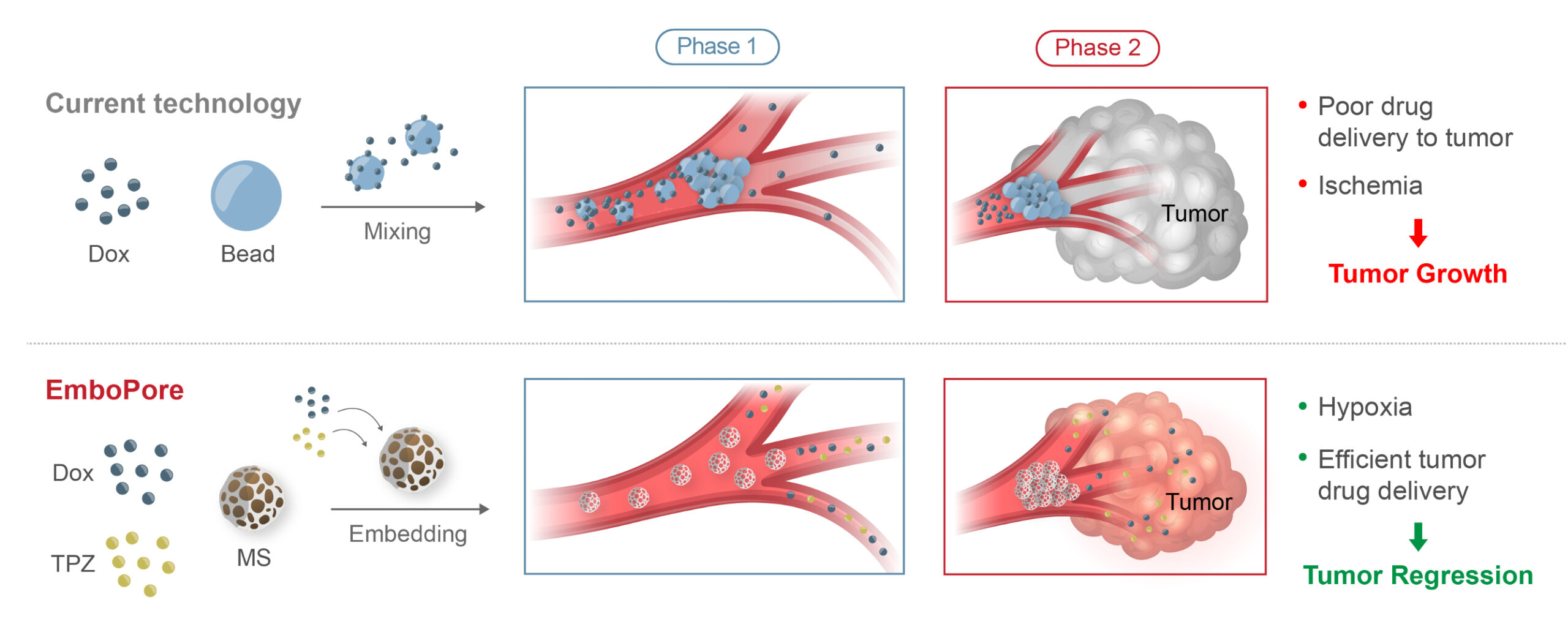 EmboPore Mechanism of Action (compared to TACE)